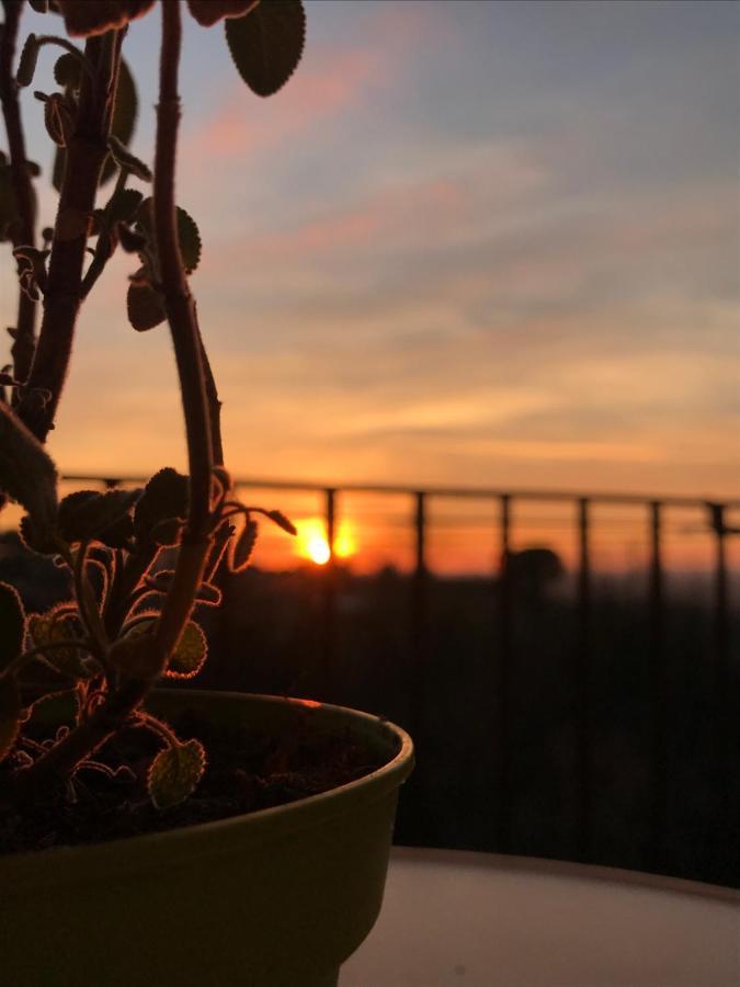La Terrazza Daire Cori Dış mekan fotoğraf